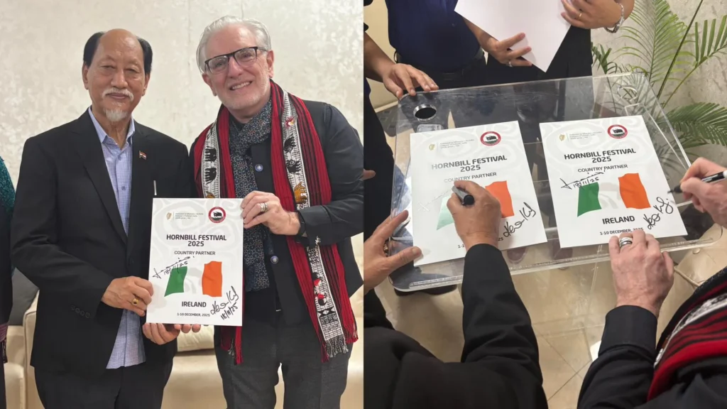 hornbill festival ireland