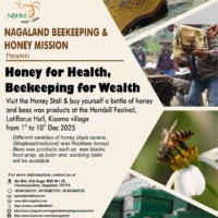 Home sweetness straight from the hills 🍯🐝visit the nagaland beekeeping & honey mission stall at th